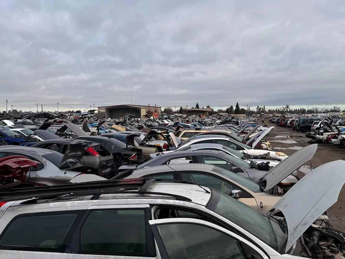 Rows of junk cars for self-service auto parts at a junkyard in Fresno